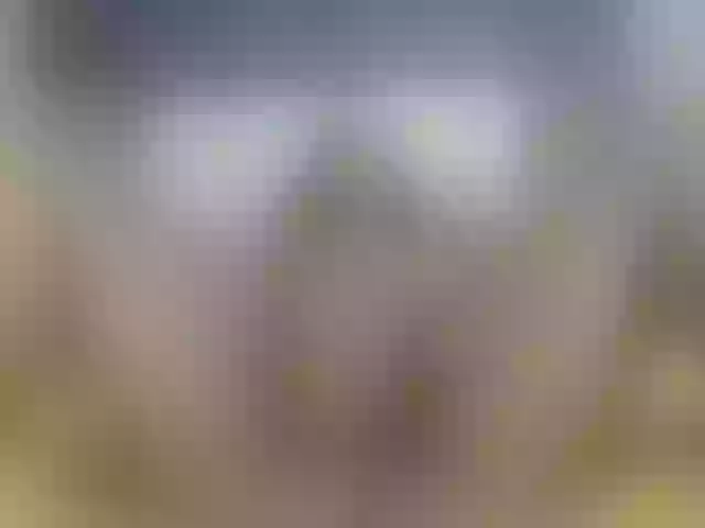 Live sex webcam photo for FantasyBarbie #261078229