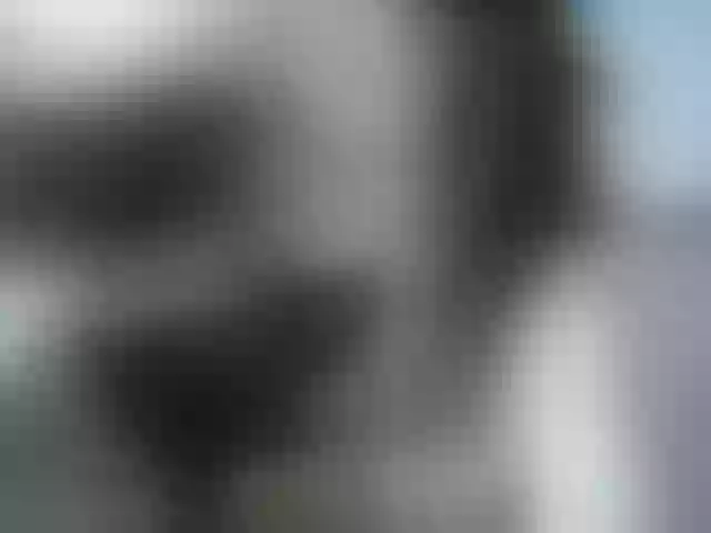 Live sex webcam photo for TeamInspire1 #257839897