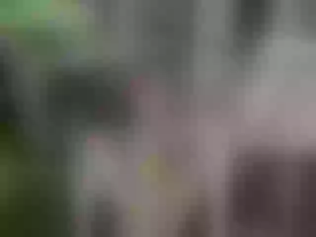 Live sex webcam photo for Sara_Skys #262955248