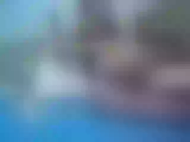 Live sex webcam photo for cheaptipmenu #240962225