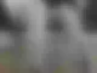 Live sex webcam photo for legsoffice #240882550