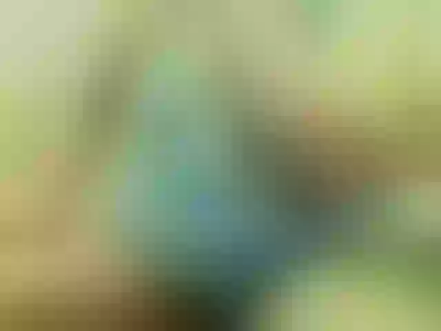 Live sex webcam photo for Vyka-Vyka #251343840
