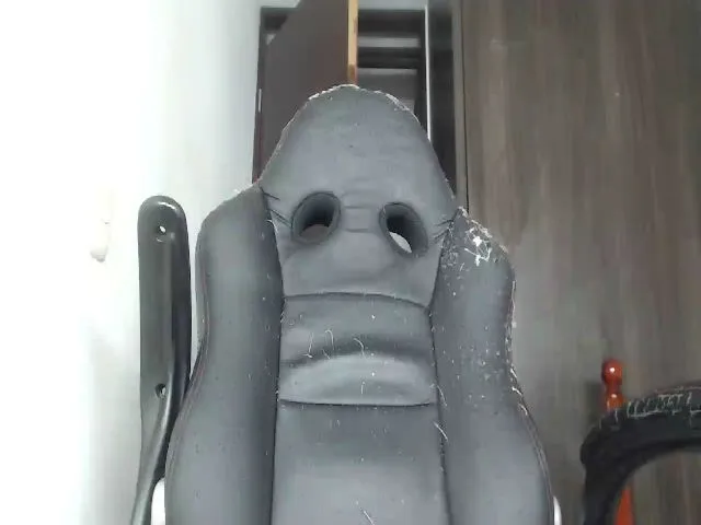 Live sex webcam photo for Fitdaly #263444945