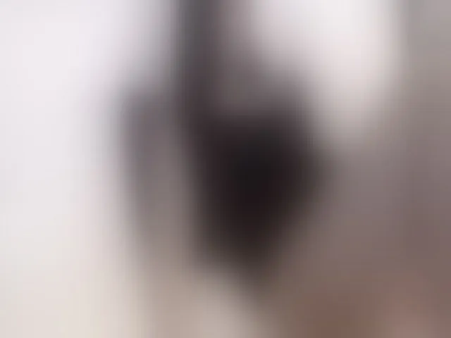 Live sex webcam photo for Sunshine #255887809