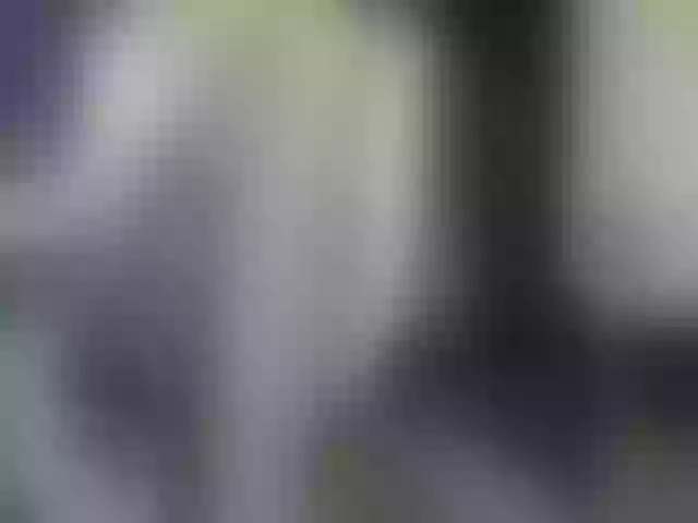 Live sex webcam photo for ego777me #287981584