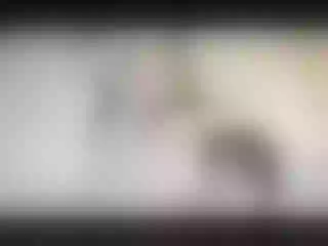 Live sex webcam photo for Anymaisa_Air #253289830