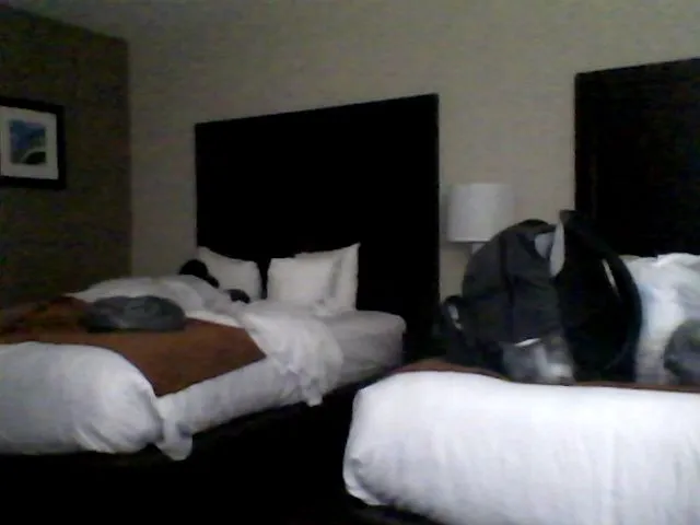 Live sex webcam photo for CocoaCat #263638780