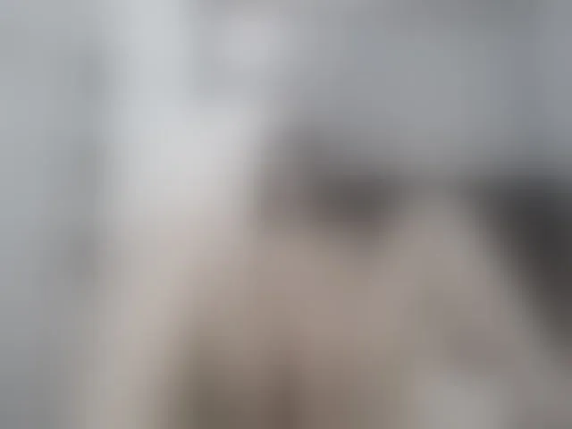 Live sex webcam photo for Girasolwalton #262103595