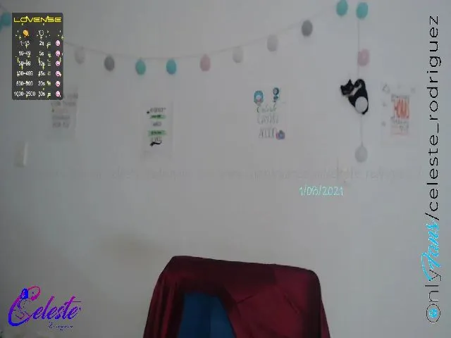 Live sex webcam photo for Celeste_r #262875499