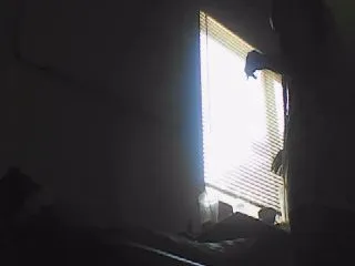 Live sex webcam photo for Calibands #251662274