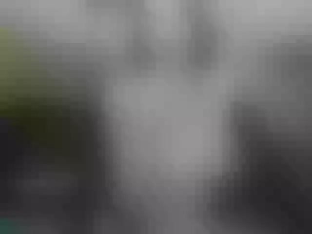 Live sex webcam photo for MaryXOn #253069410
