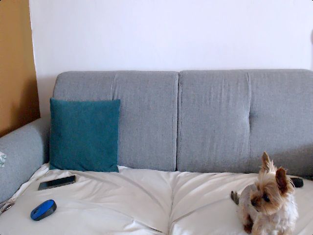 Live sex webcam photo for Stephycute #255032764