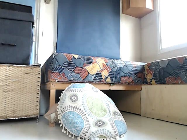 Live sex webcam photo for HerEyeSXs #255310030