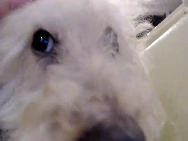 Live sex webcam photo for SilViAjpn #262661400