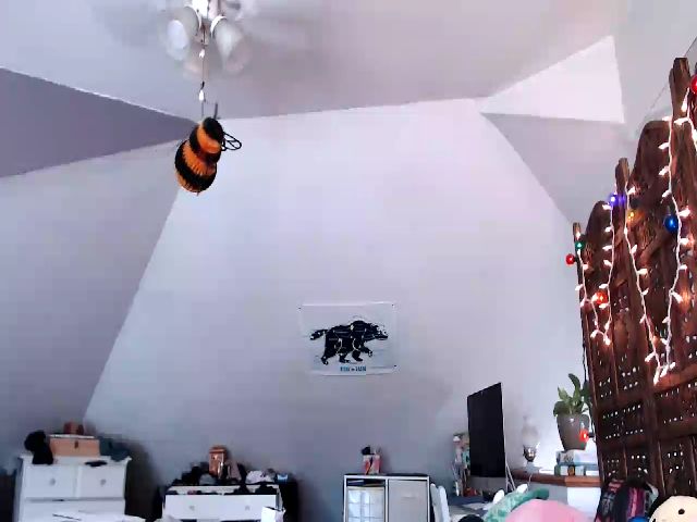 Live sex webcam photo for WildflowerEm #262263616