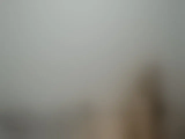 Live sex webcam photo for WildLadyHawke #253391721