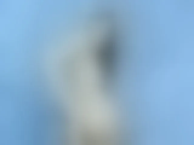 Live sex webcam photo for RubyFlame3 #257762298