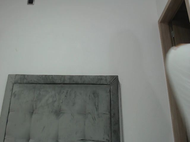 Live sex webcam photo for Noha_24_ #263337832