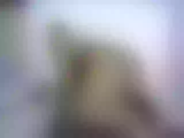 Live sex webcam photo for NoemiDavis #254569318