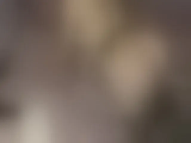 Live sex webcam photo for Xtina_ #262808944