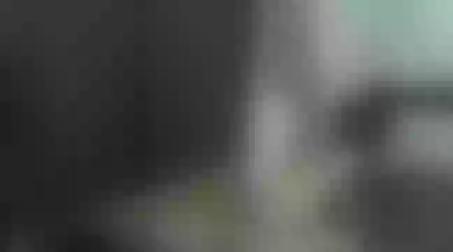 Live sex webcam photo for ALICEYDUSTIN #244902518