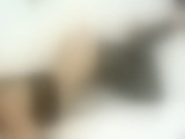 Live sex webcam photo for KammyJoe #256106252