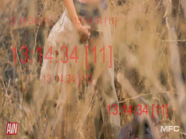 Live sex webcam photo for TestCam11 #264257919