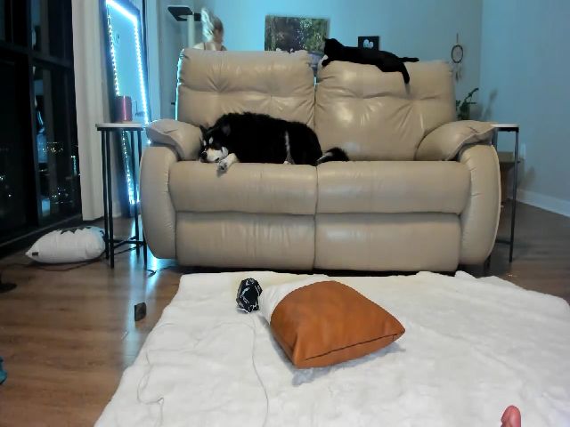 Live sex webcam photo for Belphoebe #257941407