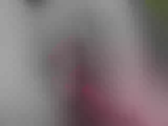 Live sex webcam photo for pevicha #241065972
