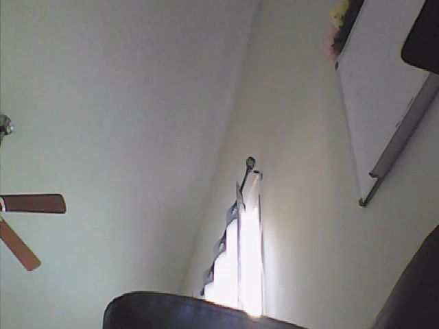 Live sex webcam photo for Calibands #254321406