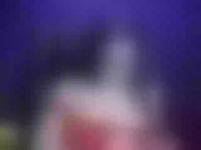 Live sex webcam photo for relyka #261011313