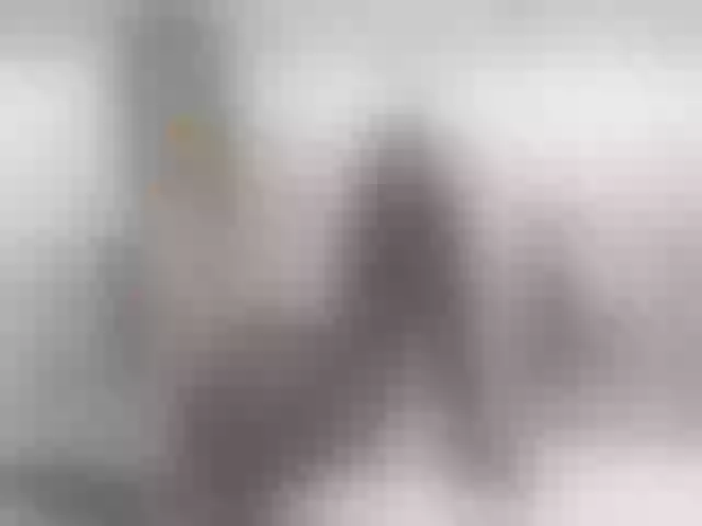 Live sex webcam photo for JulieDalton #254957017