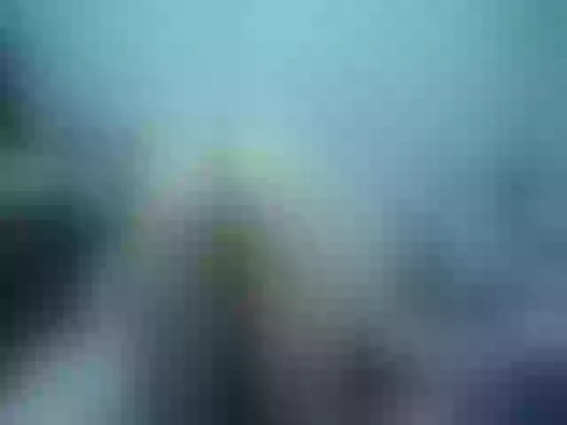 Live sex webcam photo for Girlhornyx20 #258860780
