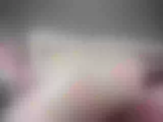Live sex webcam photo for nicehotjob #241248617