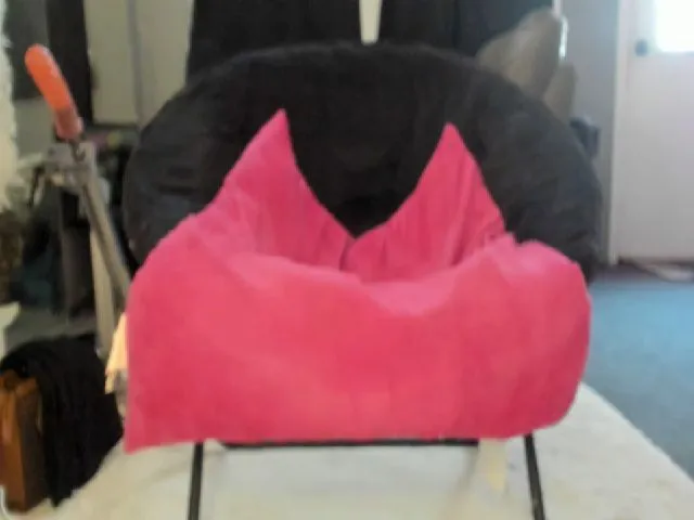 Live sex webcam photo for KinkyKortney #264297888