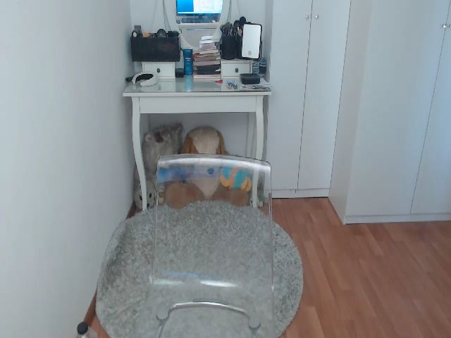 Live sex webcam photo for AlexisJewel #261960995