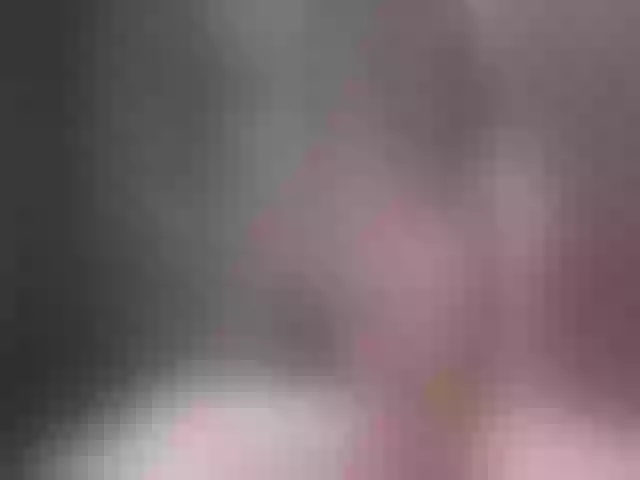 Live sex webcam photo for Innocent_Miss #252308616