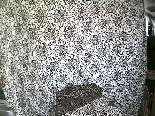 Live sex webcam photo for Elladonna69 #255767859