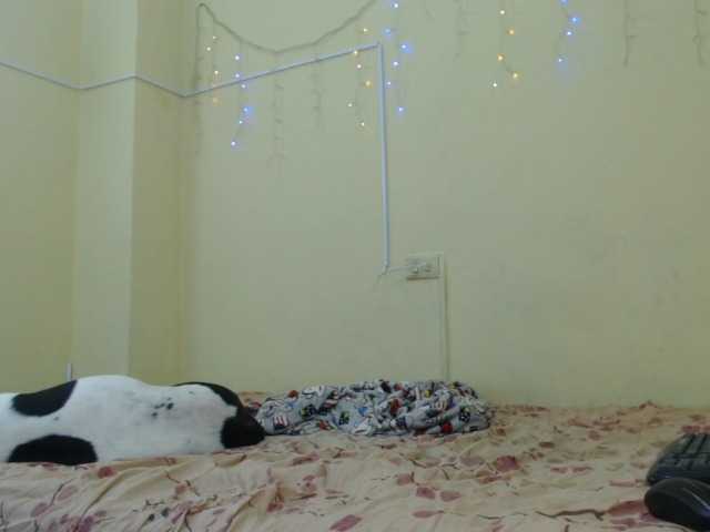 Live sex webcam photo for Maddyebela24 #252418190