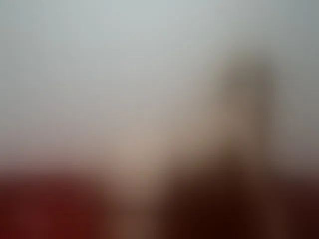 Live sex webcam photo for WildLadyHawke #260503395