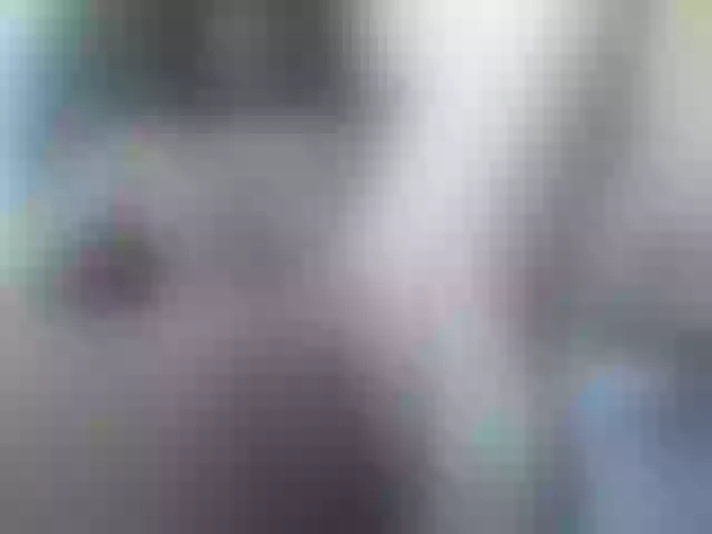 Live sex webcam photo for meleniexo #255325812