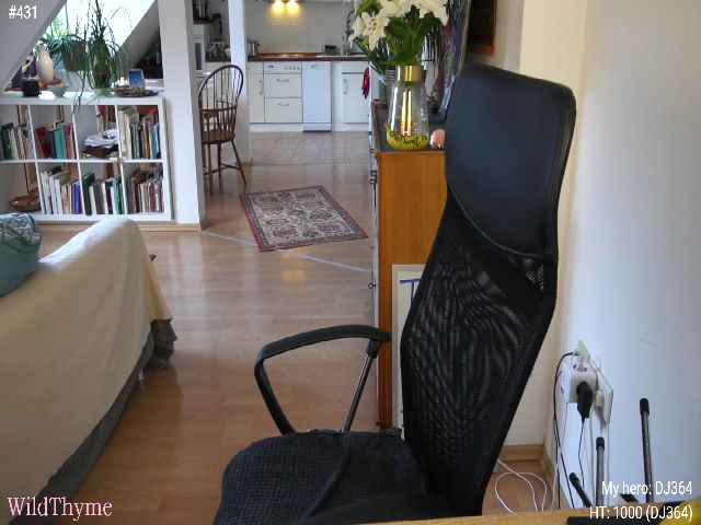 Live sex webcam photo for WildThyme #254024805