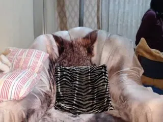 Live sex webcam photo for Katernia48 #240848130