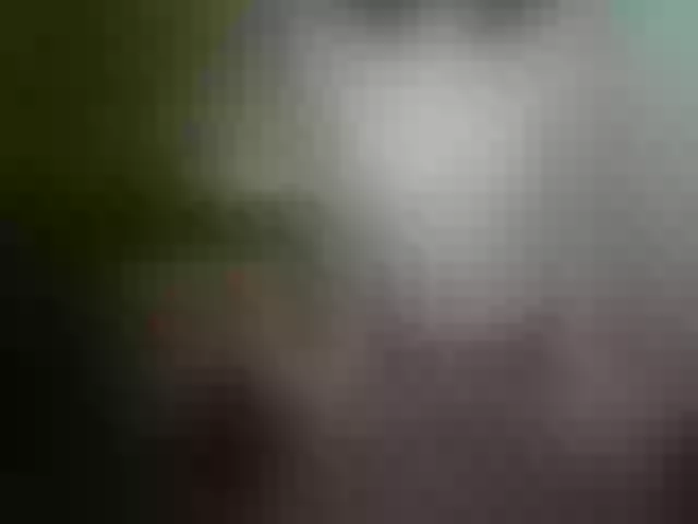 Live sex webcam photo for JaneHot #241322755