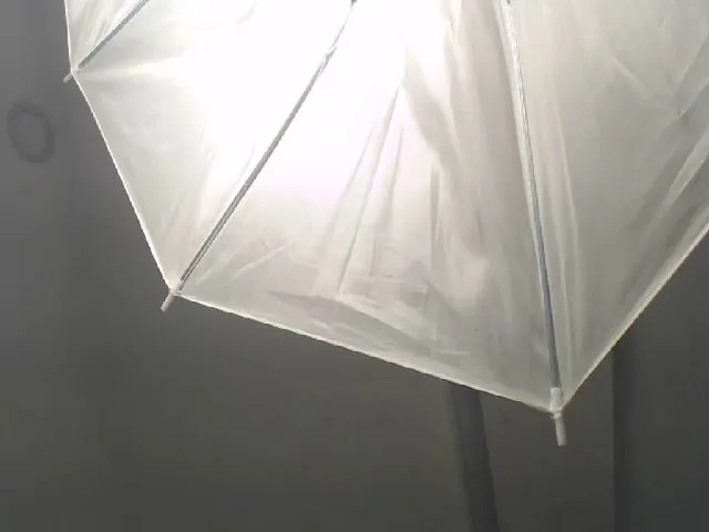 Live sex webcam photo for Kattyduque #262317057