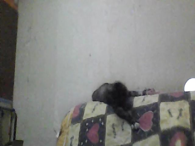 Live sex webcam photo for GuiltyKitty #253527529