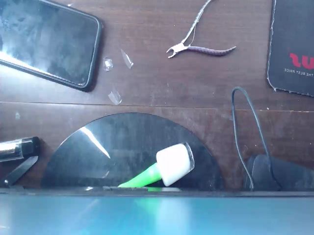 Live sex webcam photo for Sandylau2216 #255482476