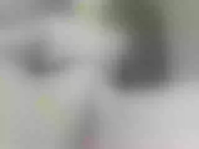Live sex webcam photo for ego777me #287981573
