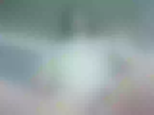Live sex webcam photo for girasol-walto #265667900