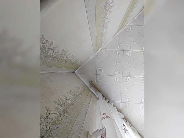 Live sex webcam photo for AngelaFamez #265668148